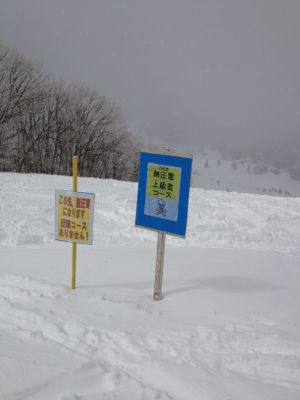 f0233068_1638959.jpg