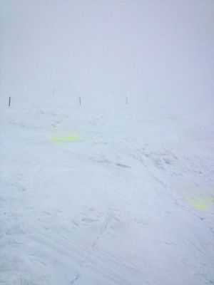 f0233068_167912.jpg