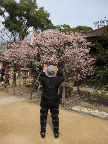 梅を撮る姿に～北野天満宮_b0055171_20463849.jpg