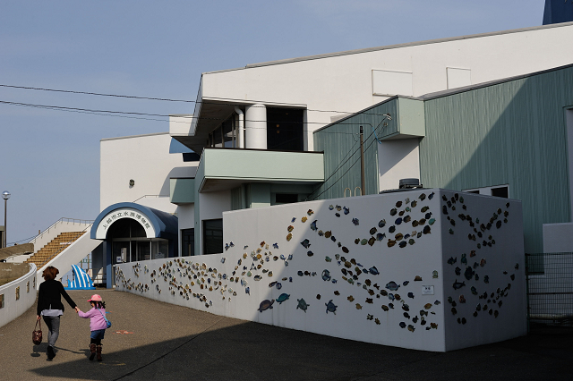 上越市立水族博物館にて③_c0197772_20144899.jpg