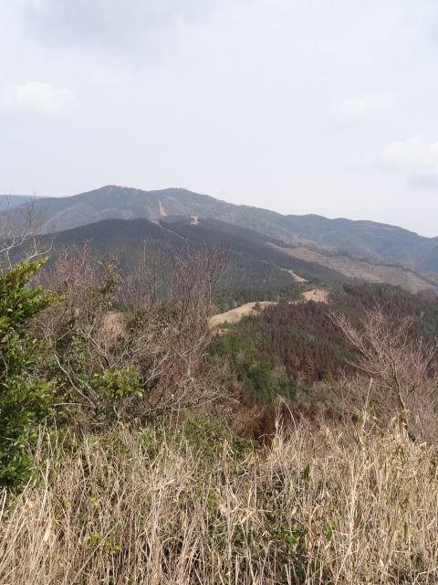 d0226273_19355623.jpg