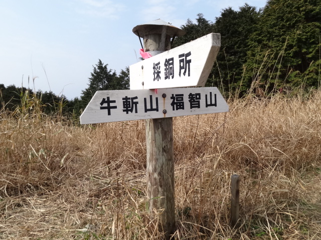 d0226273_19364522.jpg