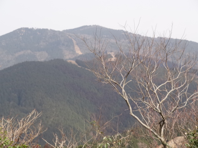 d0226273_19374910.jpg