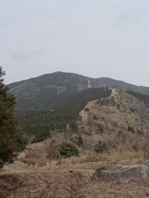 d0226273_19411091.jpg