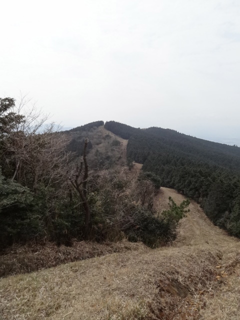 d0226273_19415480.jpg