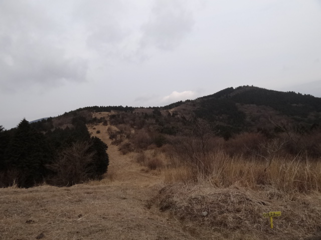 d0226273_19445152.jpg