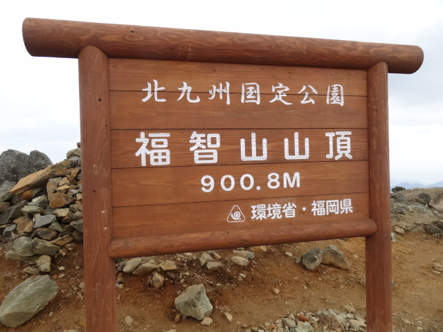 d0226273_19515672.jpg