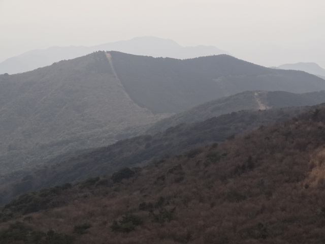 d0226273_1957293.jpg
