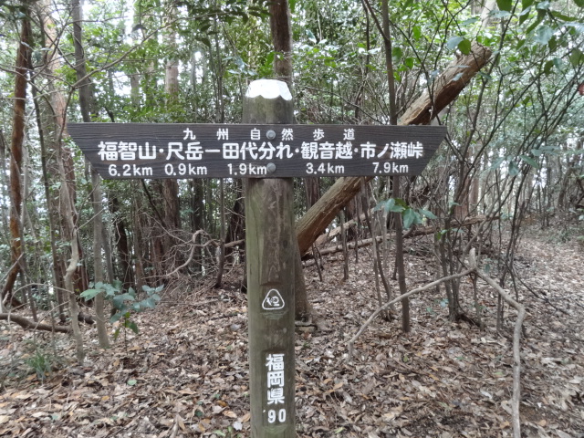 d0226273_20144915.jpg