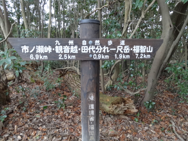 d0226273_2019352.jpg