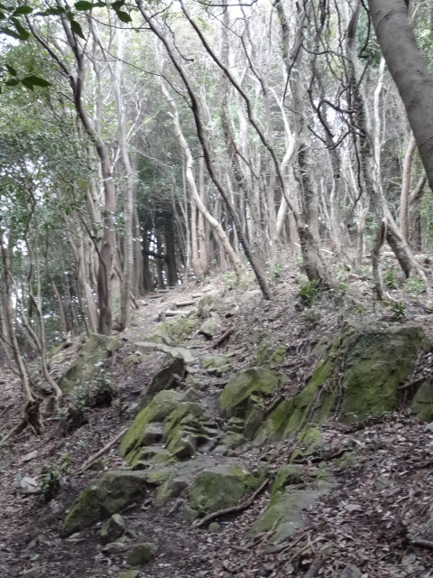 d0226273_202862.jpg