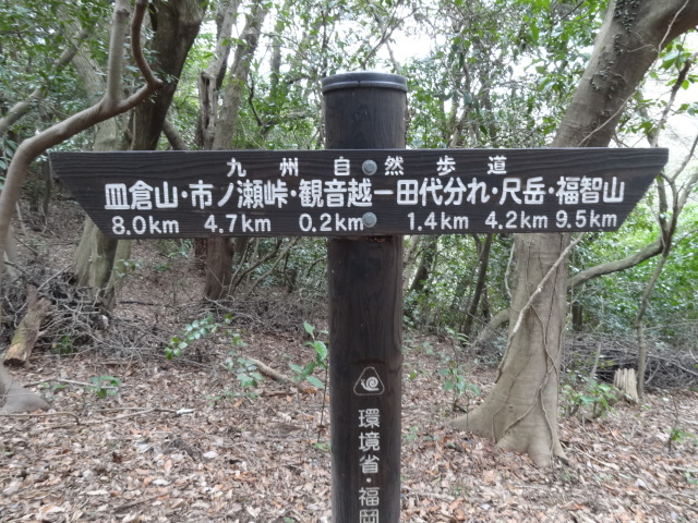 d0226273_20291095.jpg