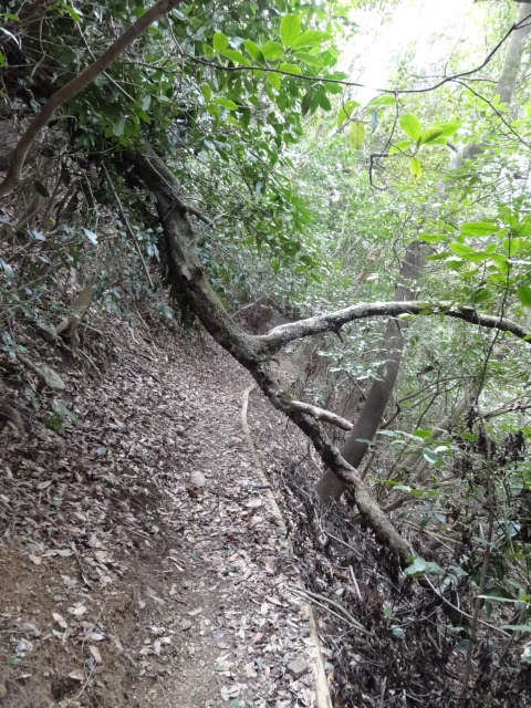 d0226273_20324162.jpg