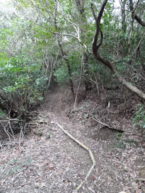 d0226273_2033169.jpg