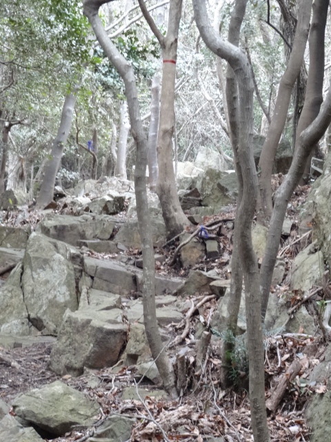 d0226273_20391780.jpg