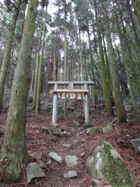 d0226273_20404699.jpg