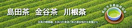 瓦礫搬出・・・自治体の責務と国の役割 武田邦彦 + バンダジェフスキー博士 院内講演会_c0139575_2115988.jpg