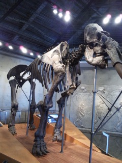 f0145976_19512925.jpg