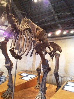 f0145976_19512971.jpg
