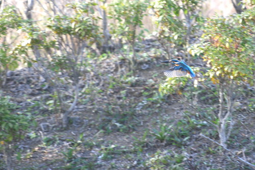 c0247982_22184073.jpg