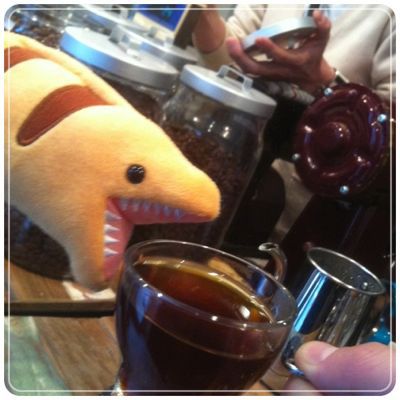 ウツボちゃん_a0127284_22253773.jpg