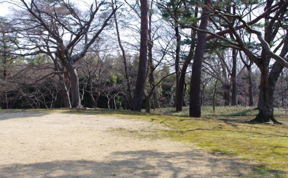 春一番のカタクリに出会った　：　殿ヶ谷戸庭園_c0144185_9564798.jpg