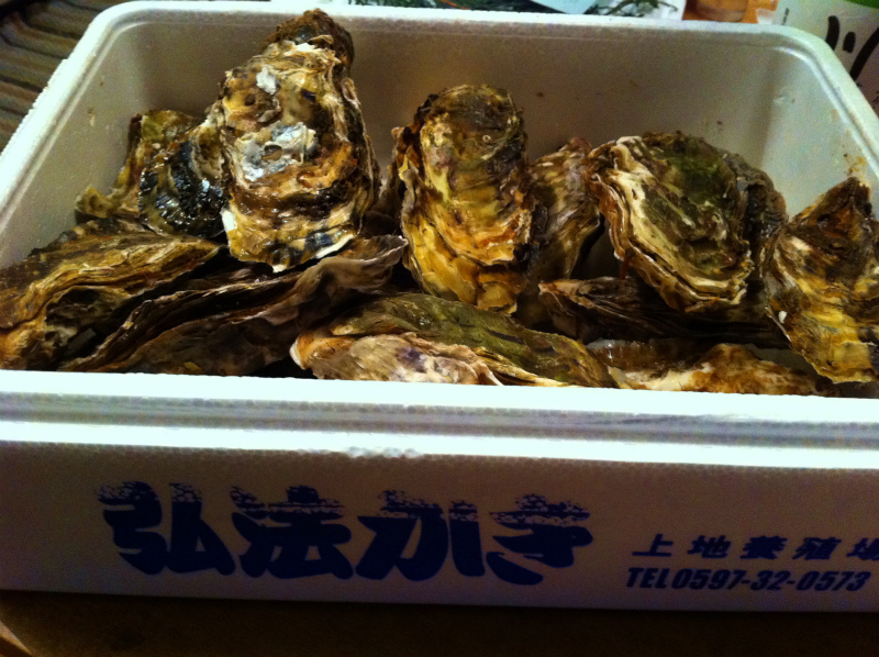 2012/03/07 瀧原宮&姫越山トレイルランニング_b0220886_0203691.jpg