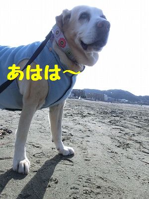 e0222588_17155853.jpg