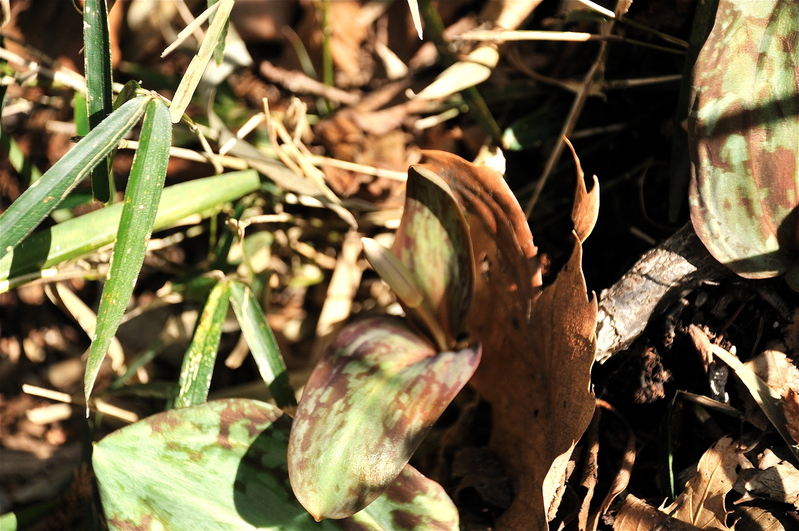 b0217090_15524850.jpg