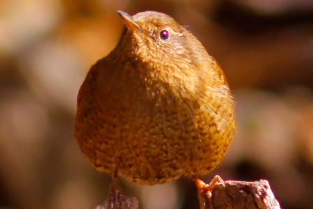 d0133693_21114890.jpg