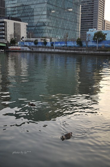 c0215296_22273468.jpg