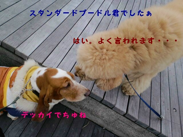 b0234697_154315.jpg