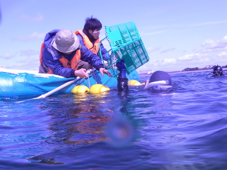 3/19　大阪湾　アマモ移植活動_e0115199_22483348.jpg