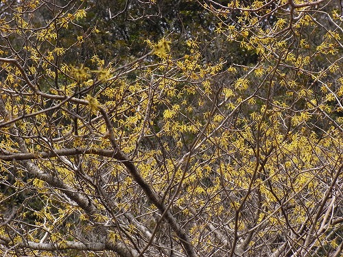 f0187402_2021318.jpg