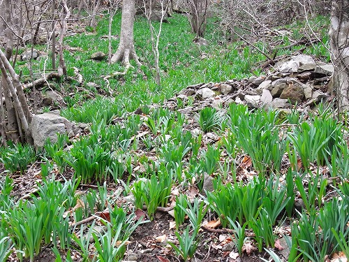 f0187402_20215692.jpg
