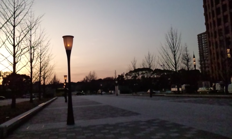 c0190103_1758870.jpg