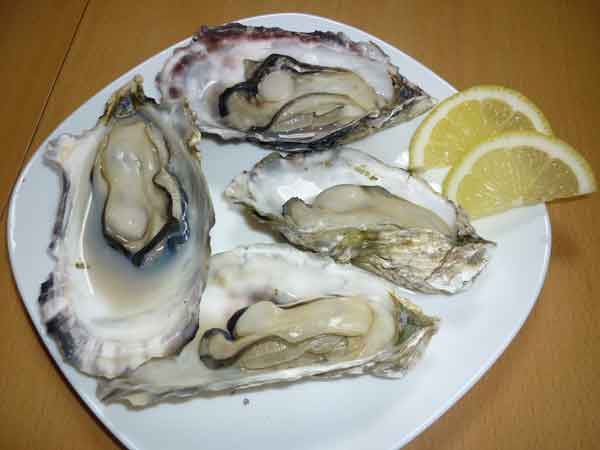 f0081905_21553340.jpg