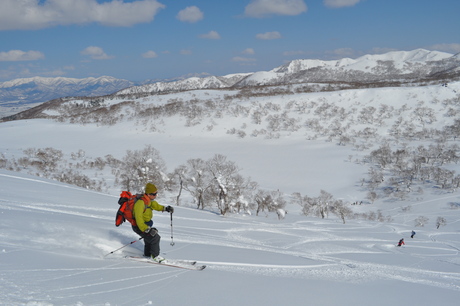 2012年3月10日　楽しい滑りのビーナスの丘、ノートラックの斜面に粉雪を巻き上げ、我々のシュプールを刻む_c0242406_12113179.jpg