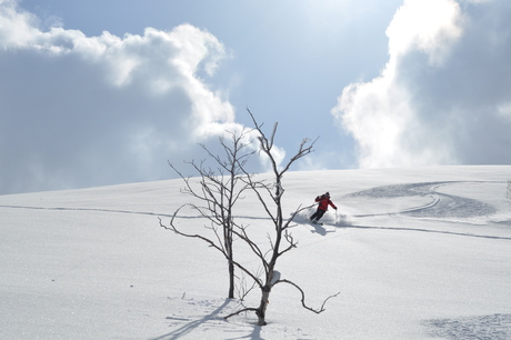 2012年3月10日　楽しい滑りのビーナスの丘、ノートラックの斜面に粉雪を巻き上げ、我々のシュプールを刻む_c0242406_1214145.jpg