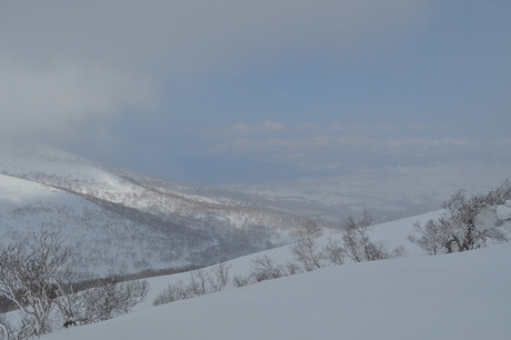 c0242406_12492255.jpg
