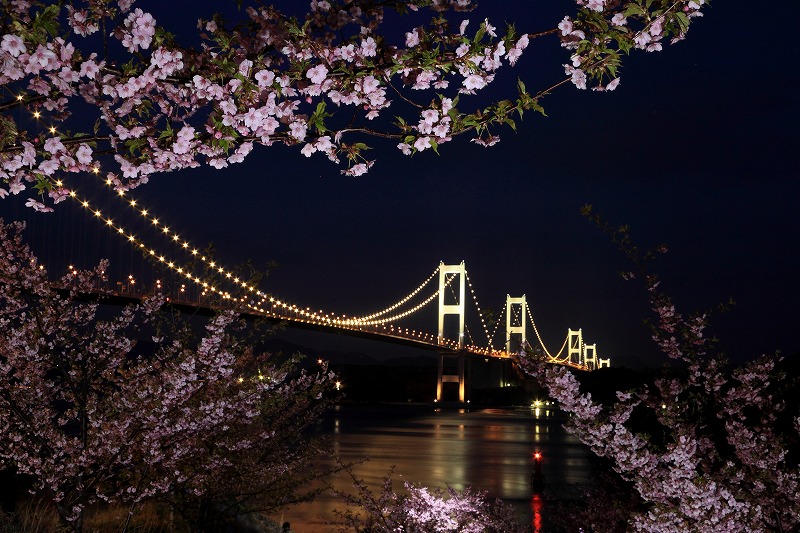 b0229909_12482014.jpg