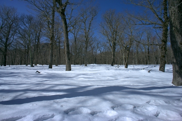 b0244811_17335138.jpg