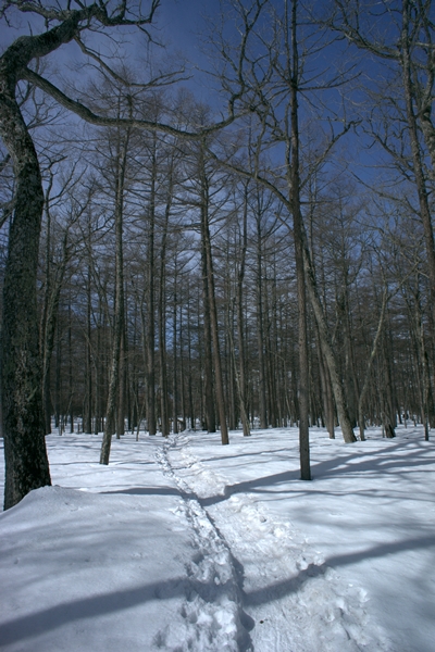 b0244811_1736585.jpg