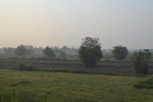 a0036513_11463453.jpg