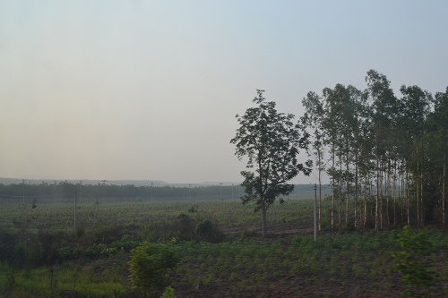 a0036513_1147274.jpg