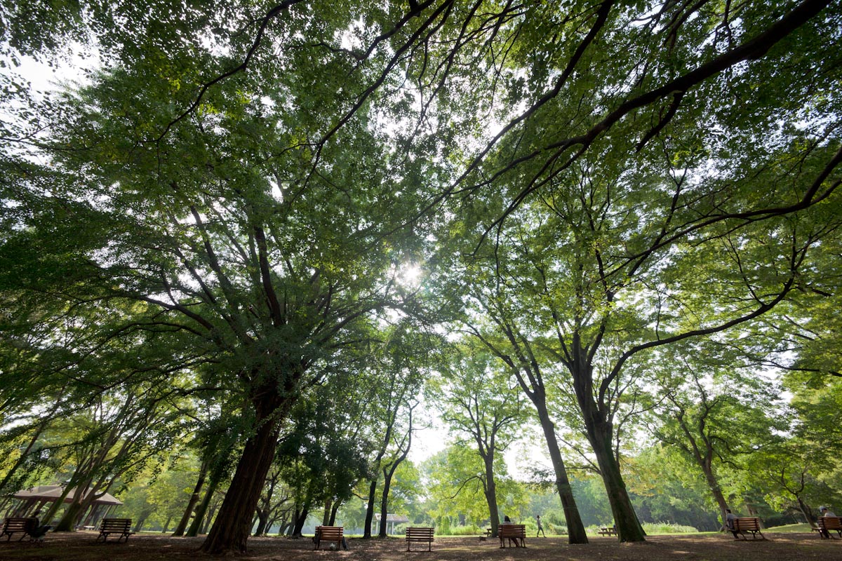 【作例大放出】SIGMA 12-24mm F4.5-5.6 II DG HSM_b0213320_22212183.jpg