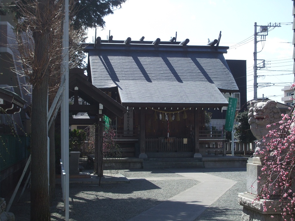 二宮神社の枝垂梅が見ごろ_c0203322_15321941.jpg