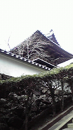 d0110022_2373911.jpg