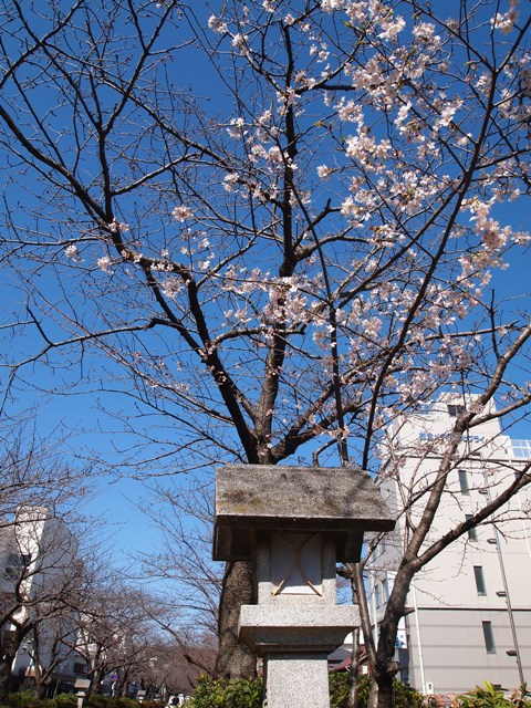 b0177323_16335100.jpg