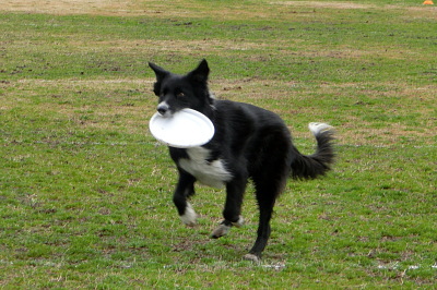 c0229523_1521284.jpg